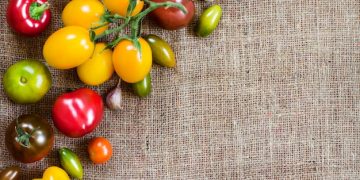 Emergency Food Assistance Faces Cuts: What to Know in the US - Cover Image