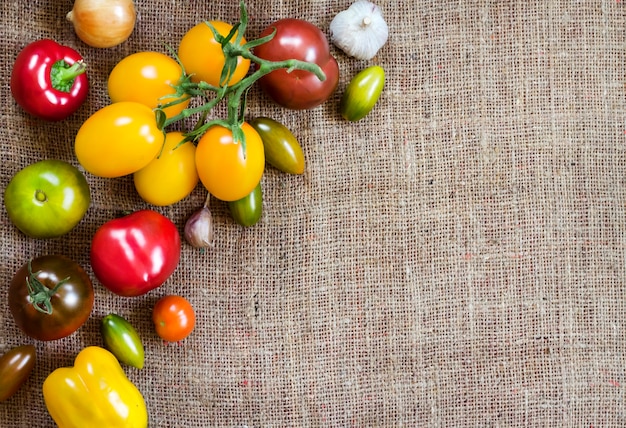 Emergency Food Assistance Faces Cuts: What to Know in the US