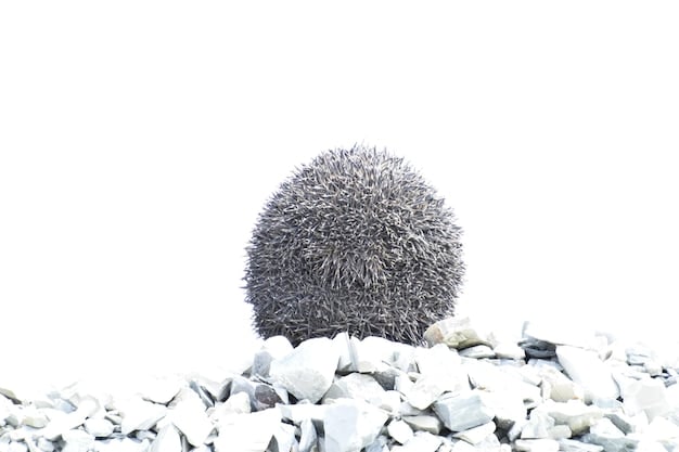 The Power of Compounding: Exponential Wealth Growth Explained