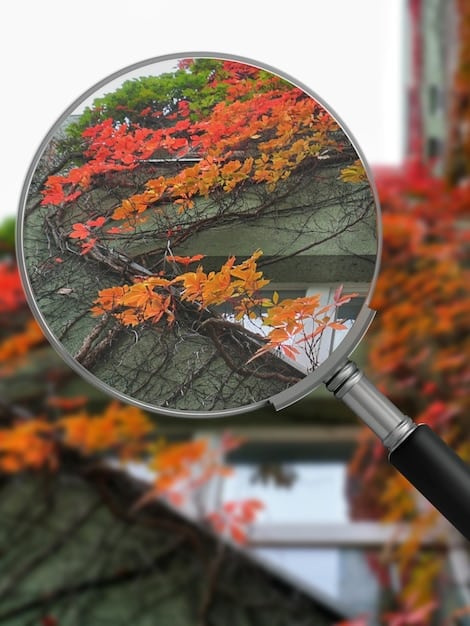 A magnifying glass over a FAFSA form, highlighting specific fields with potential errors. The image conveys attention to detail and the importance of accuracy.